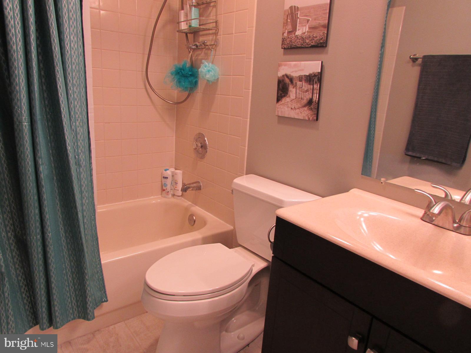 571 Quaker Ridge Court Arnold, MD 21012 - Photo 7 of 17 a bathroom with a sink a toilet and shower curtain