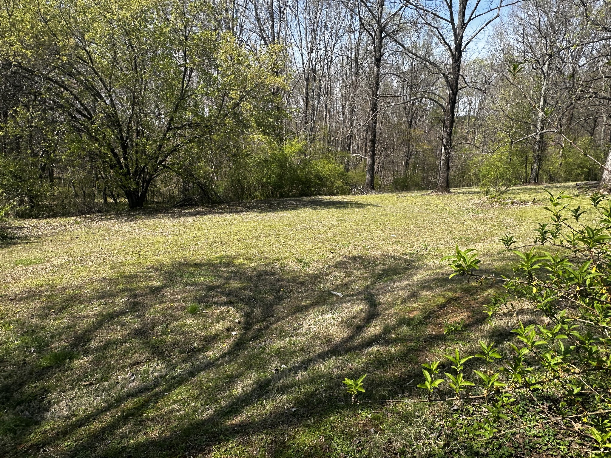 91 Lambs Ferry Road Loretto, TN 38469 - Photo 26 of 35