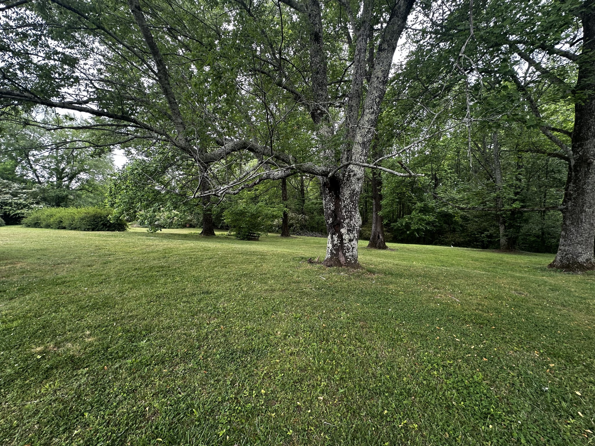 91 Lambs Ferry Road Loretto, TN 38469 - Photo 29 of 35