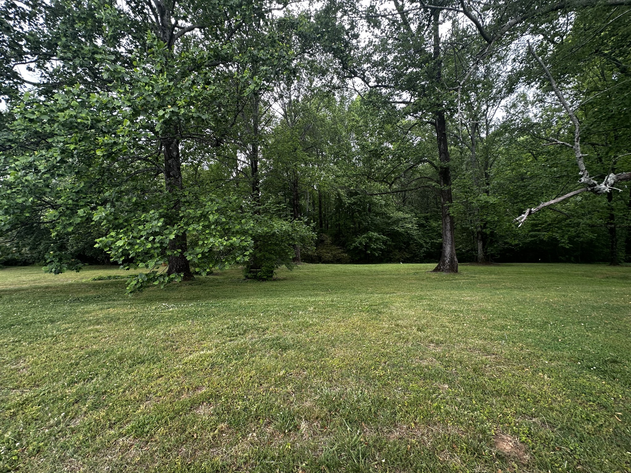 91 Lambs Ferry Road Loretto, TN 38469 - Photo 31 of 35
