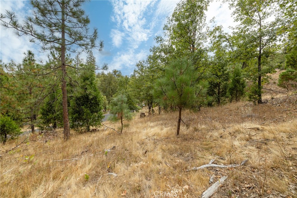 26 Timberview Road North Fork, CA 93643 - Photo 36 of 60
