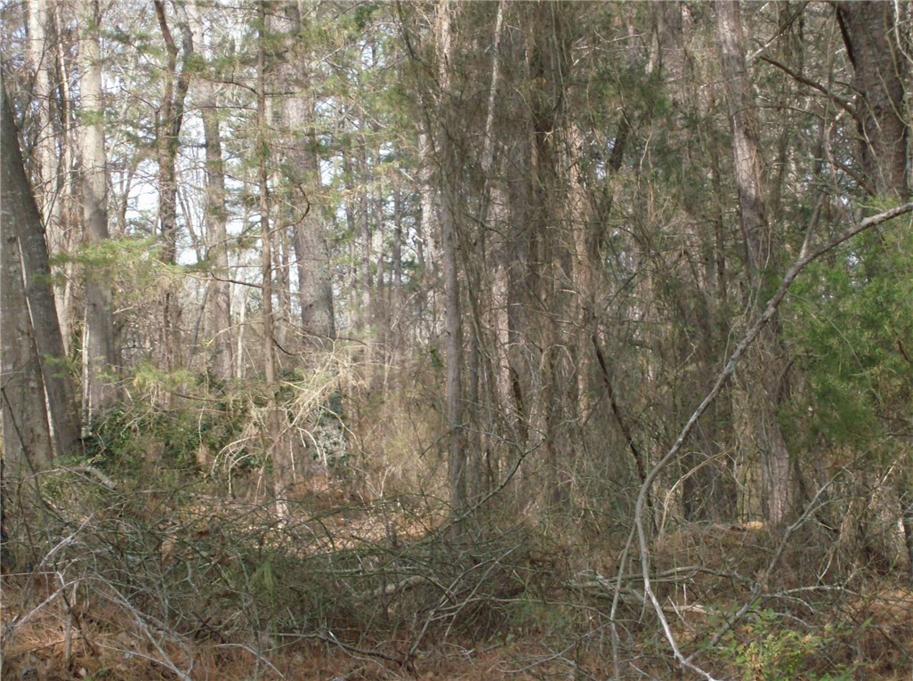 22 Pine Lane Anderson, SC 29621 - Photo 4 of 5