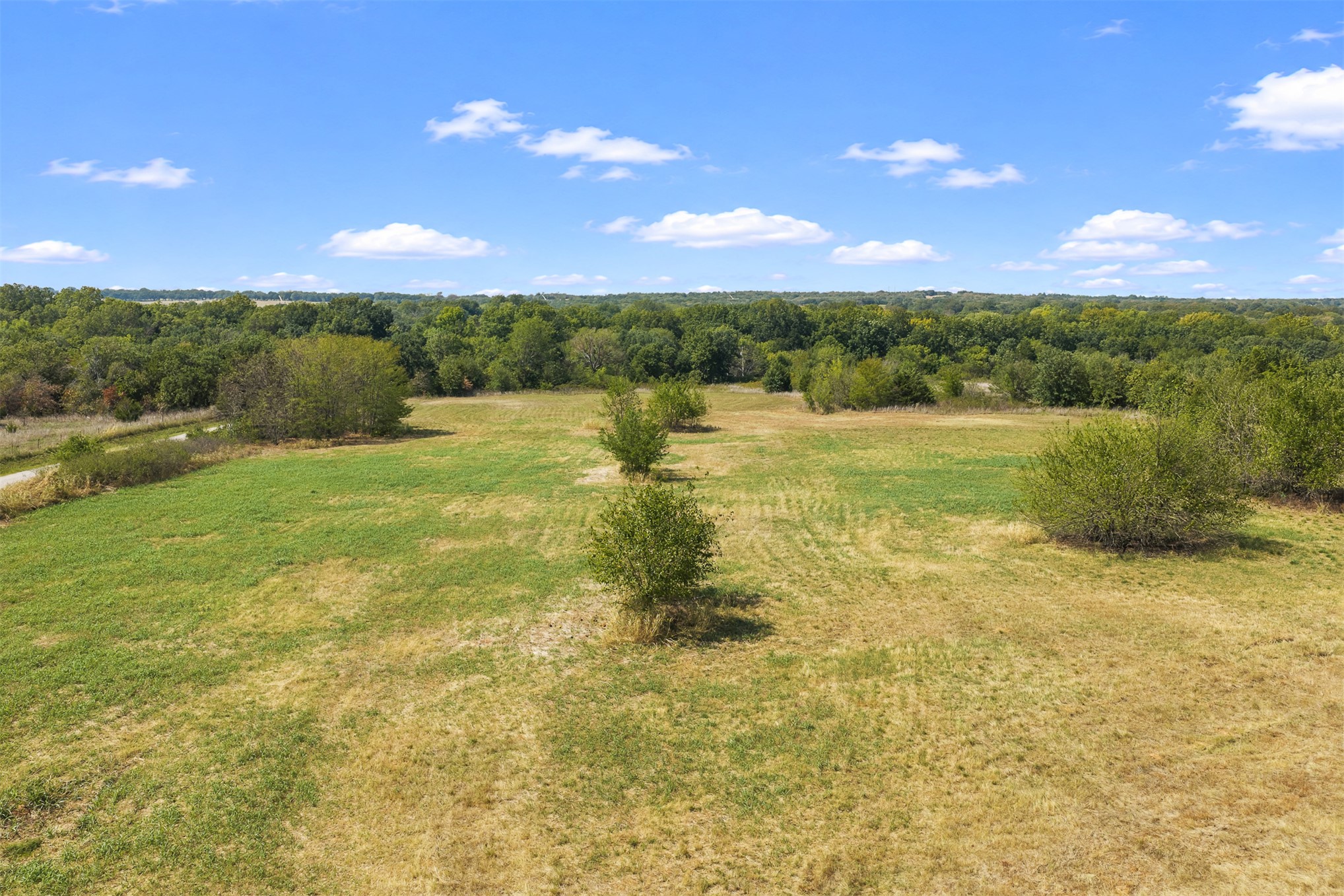 162 Big Bear Road Lone Grove, OK 73443 - Photo 11 of 12 Expansive open field with scattered trees and a dense tree line bordering the property