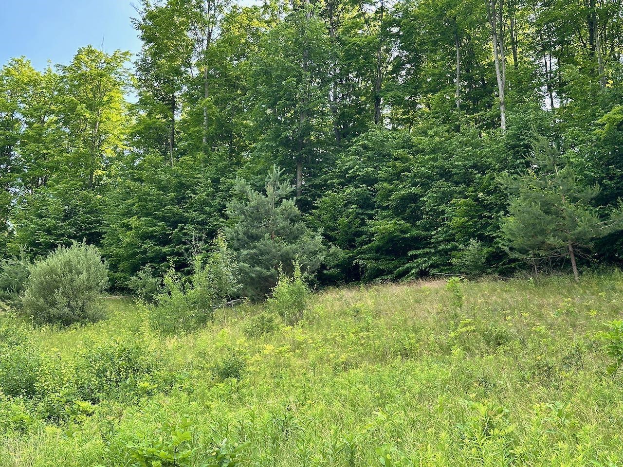 170 Raptor Run, Unit LOT: 170 Bellaire, MI 49615 - Photo 8 of 29