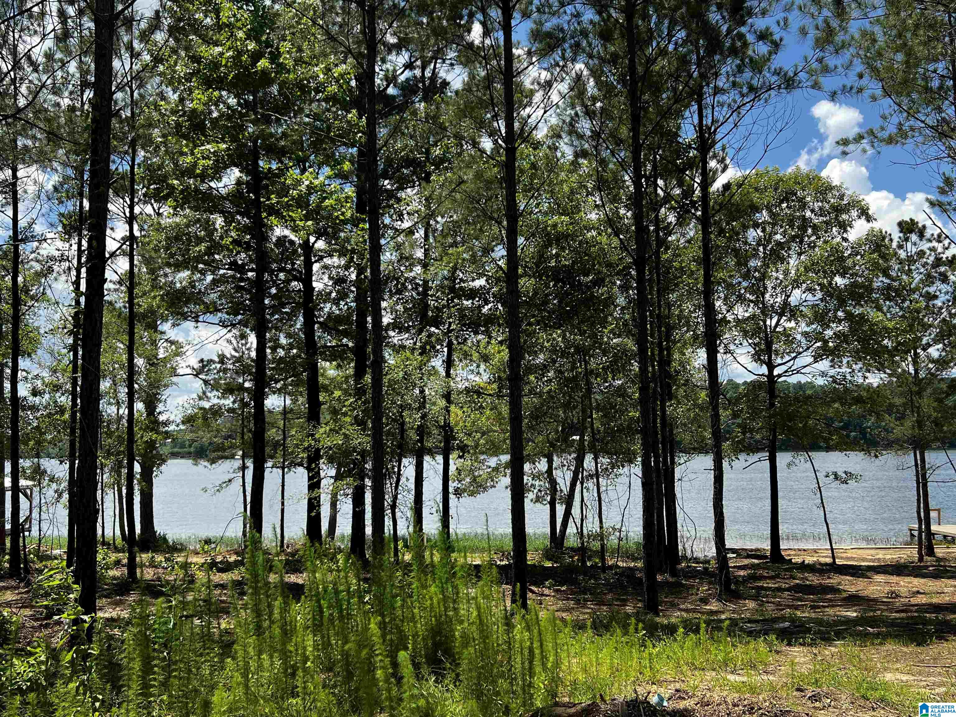 0 Daybreak Curve, Unit 5 Rockford, AL 35136 - Photo 7 of 10