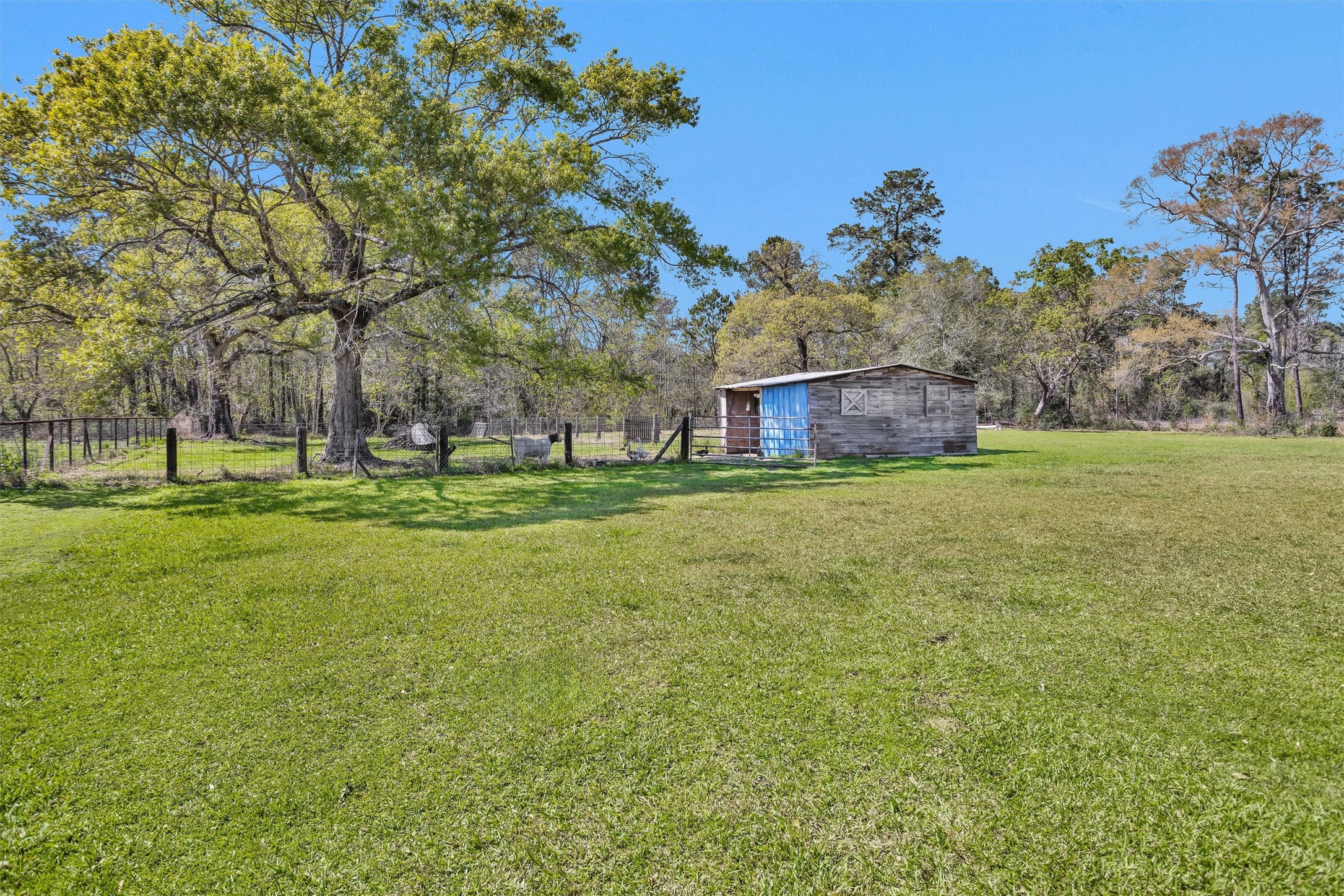 14272 Firetower Road Conroe, TX 77306 - Photo 38 of 47