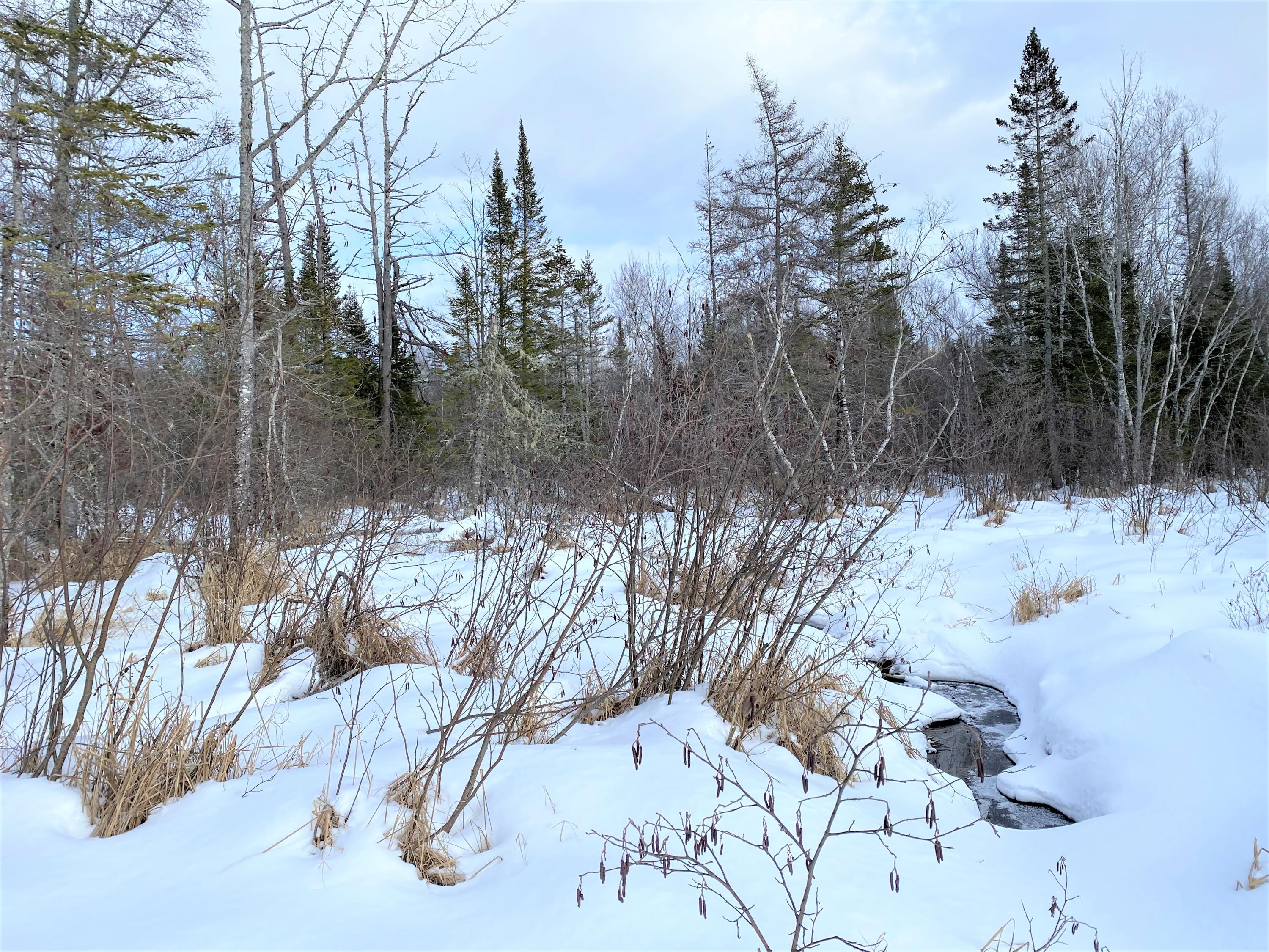 0 Fogg Brook Road Burlington, ME 04417 - Photo 19 of 25 IMG_2577