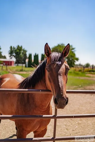 $389,000 | 14 North 470 West, Blackfoot, ID 83221