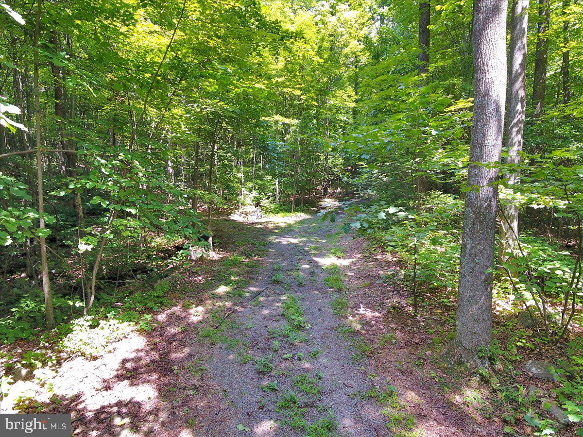 Rr Enola Road Carlisle, PA 17015 - Photo 4 of 7 Gallery Image 4