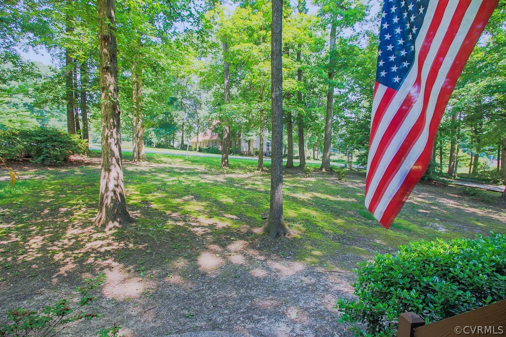 13625 Queensgate Road Midlothian, VA 23114 - Photo 29 of 35 a view of a yard with a tree