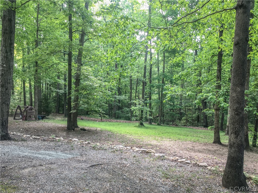 13625 Queensgate Road Midlothian, VA 23114 - Photo 33 of 35 a view of a forest with trees