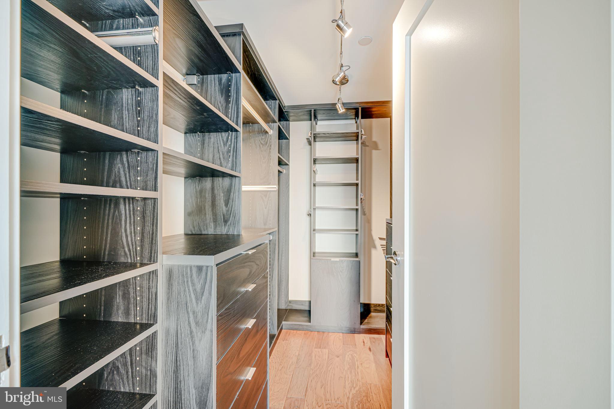 1111 19th Street North, Unit 2703 Arlington, VA 22209 - Photo 35 of 52 a view of walk in closet