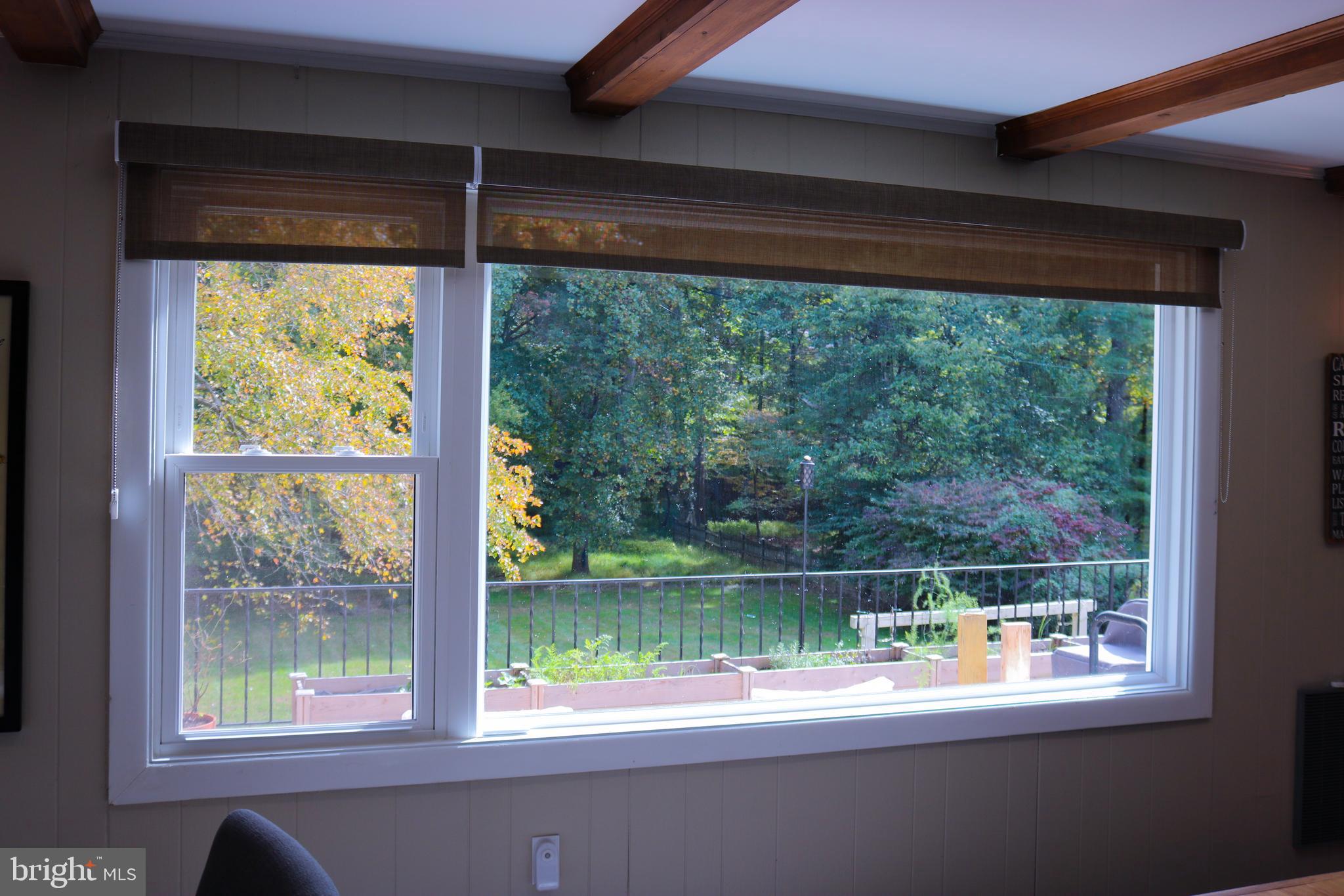 13709 Mills Avenue Silver Spring, MD 20904 - Photo 35 of 59