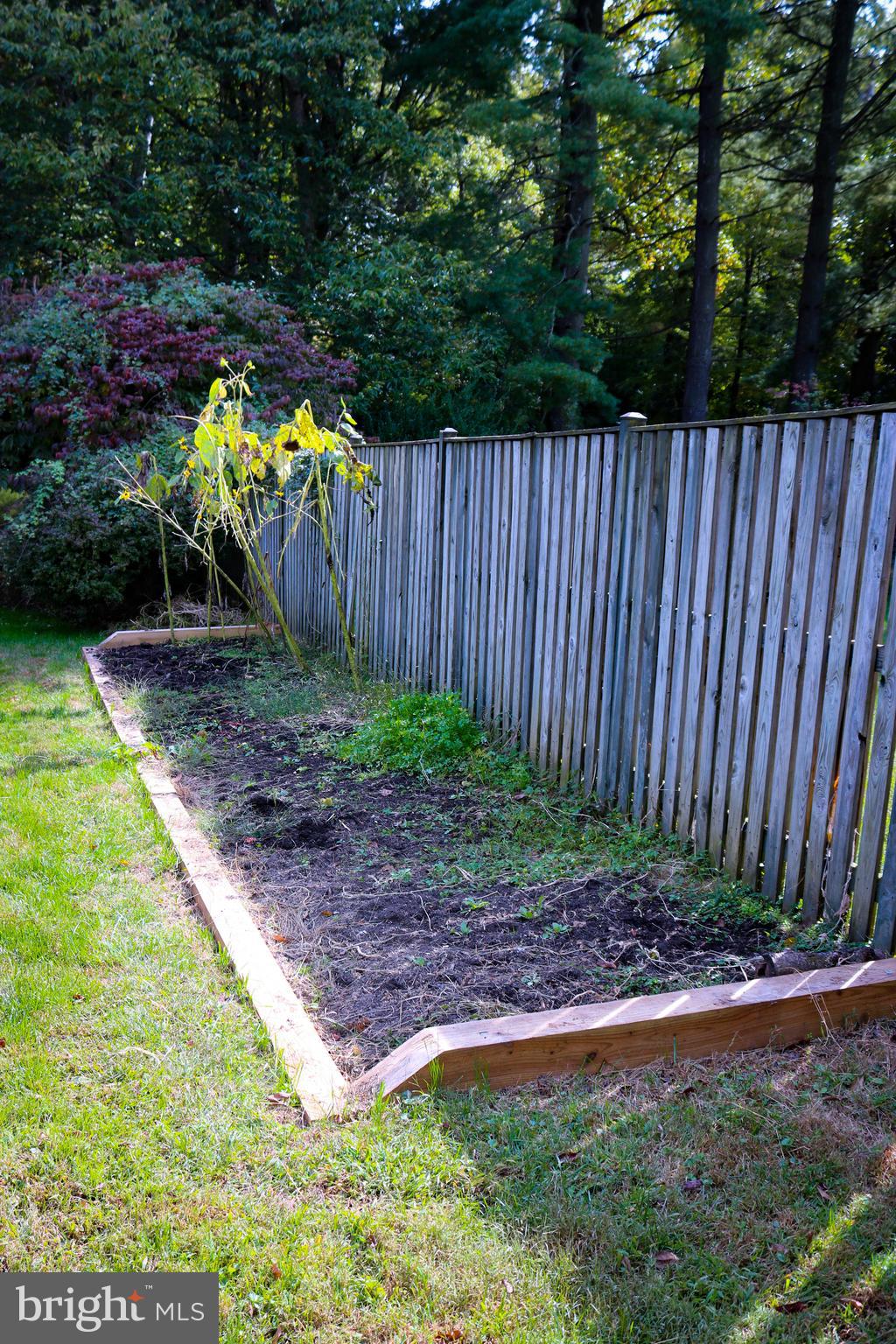 13709 Mills Avenue Silver Spring, MD 20904 - Photo 50 of 59