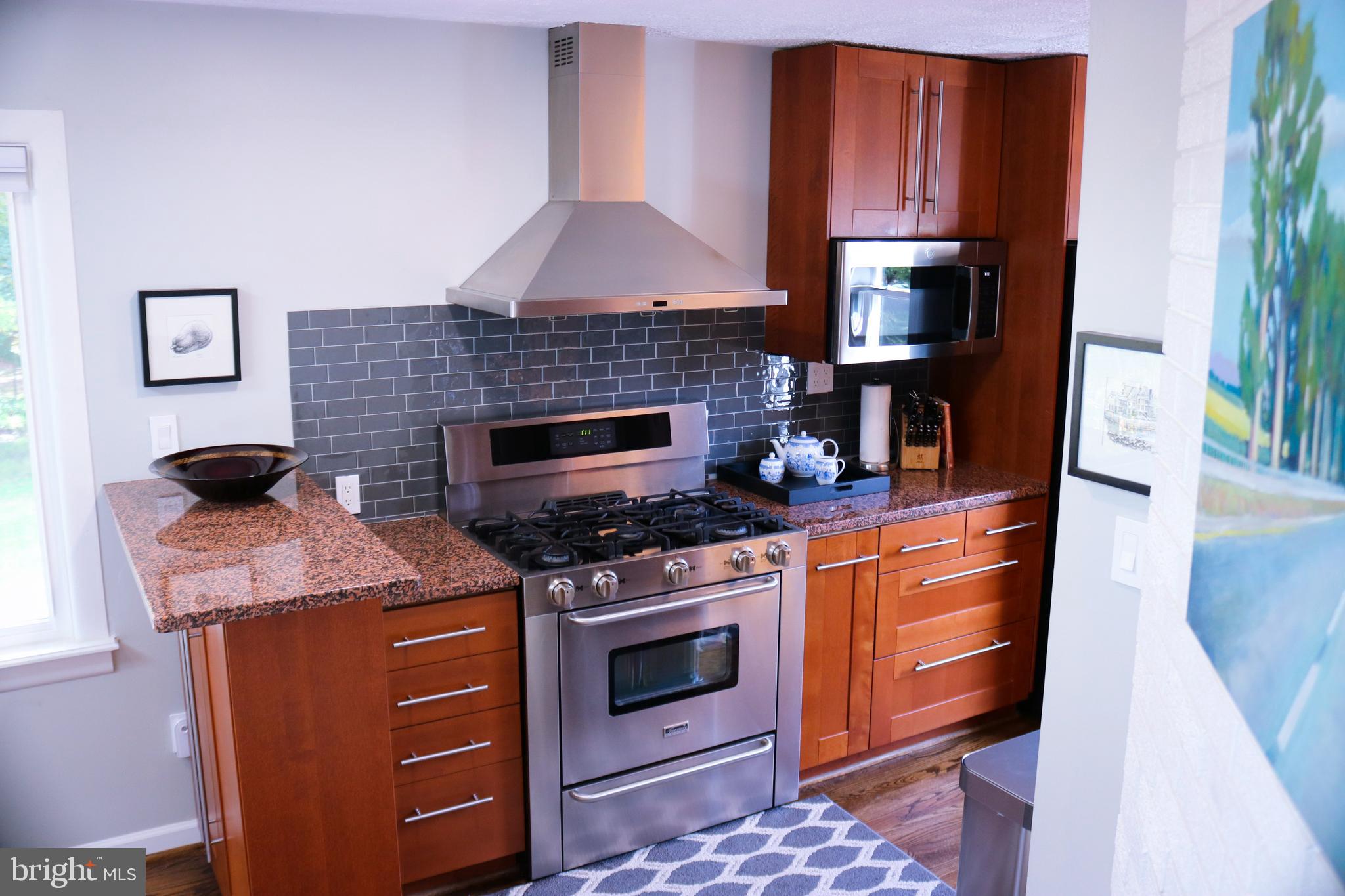 13709 Mills Avenue Silver Spring, MD 20904 - Photo 6 of 59