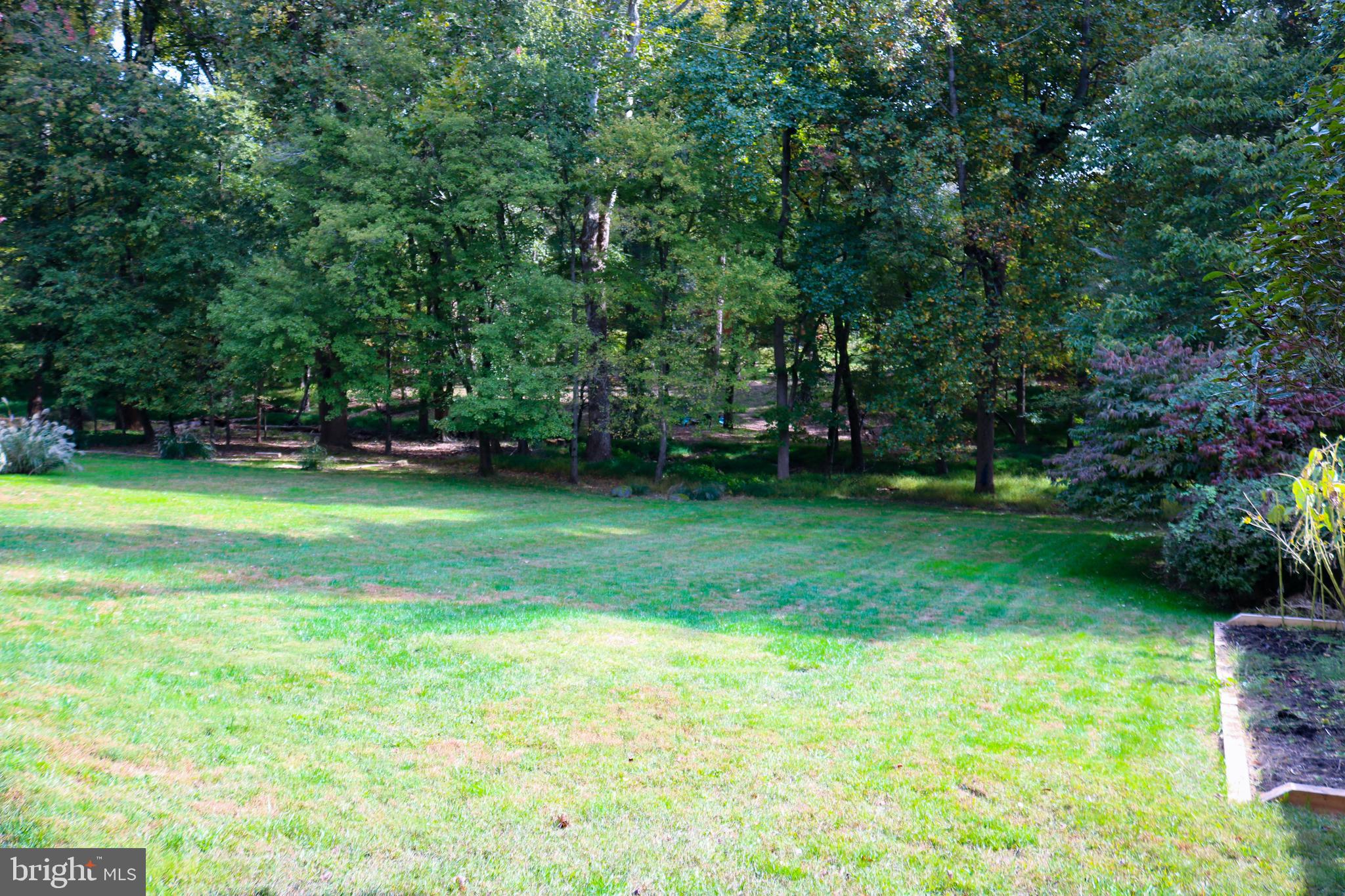 13709 Mills Avenue Silver Spring, MD 20904 - Photo 53 of 59