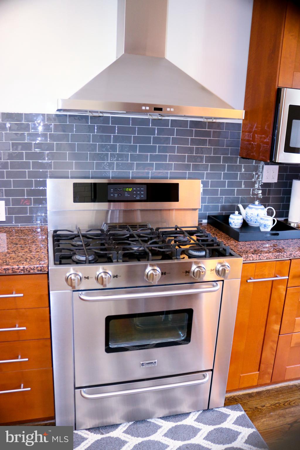 13709 Mills Avenue Silver Spring, MD 20904 - Photo 7 of 59