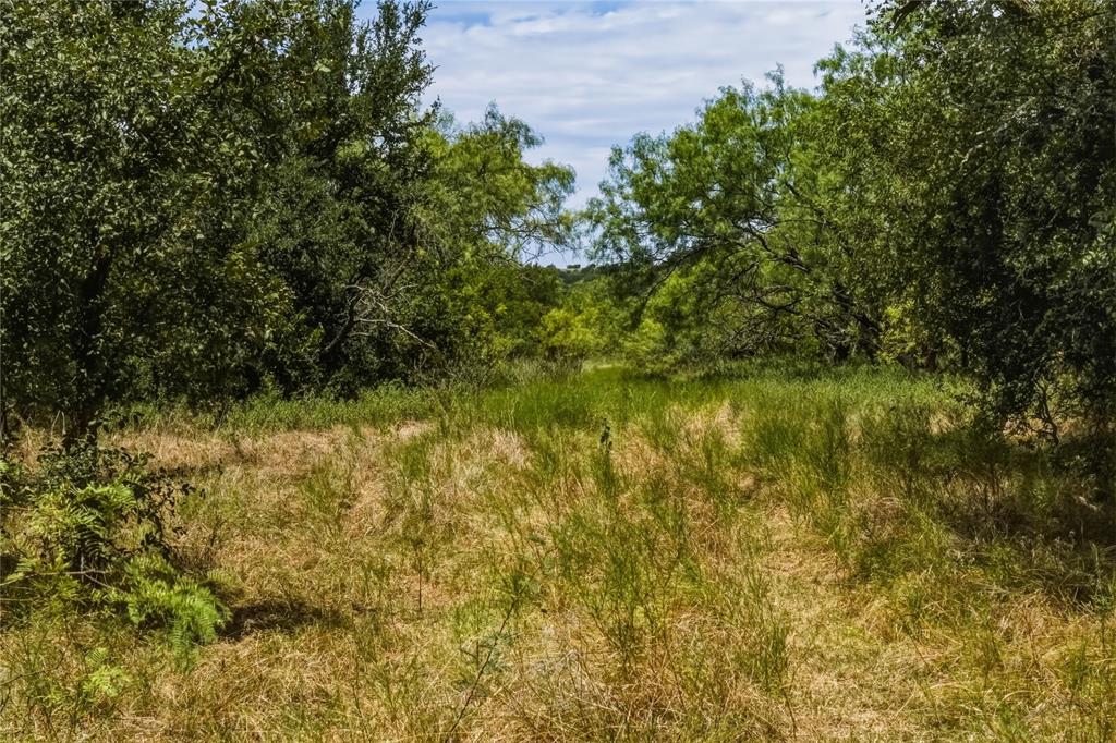 480-acres Tucker Road Perrin, TX 76486 - Photo 33 of 40 Gallery Image 33