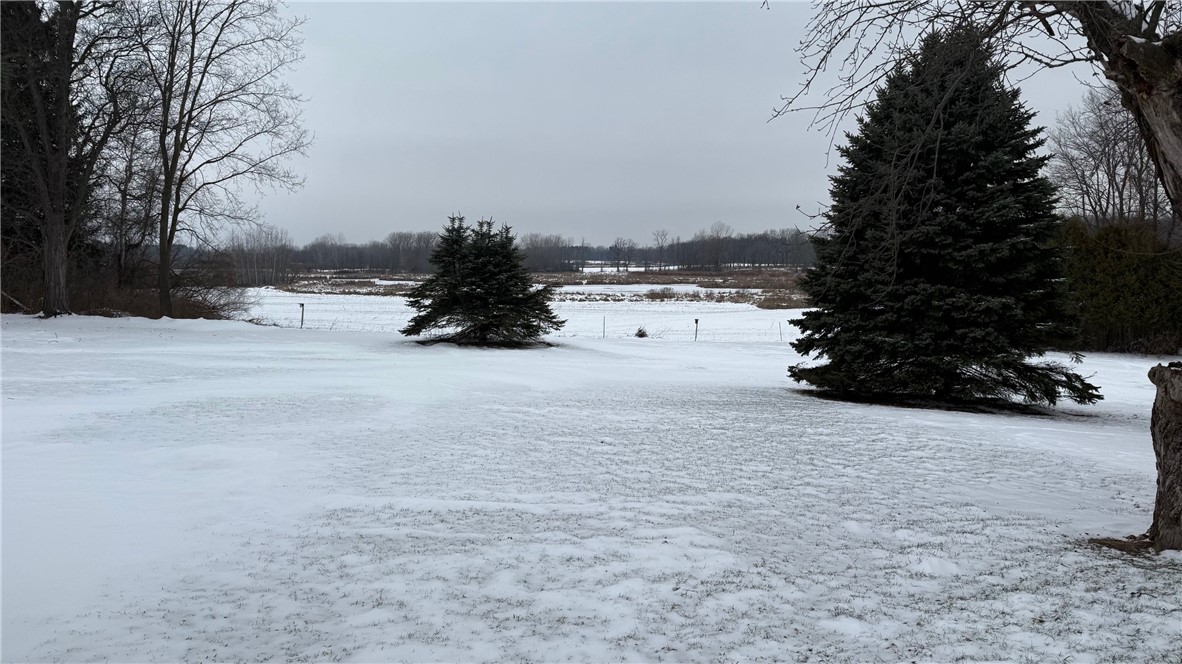 6242 Knowlesville Road Alabama, NY 14013 - Photo 26 of 36 Backyard with view of Iroquois National Wildlife r