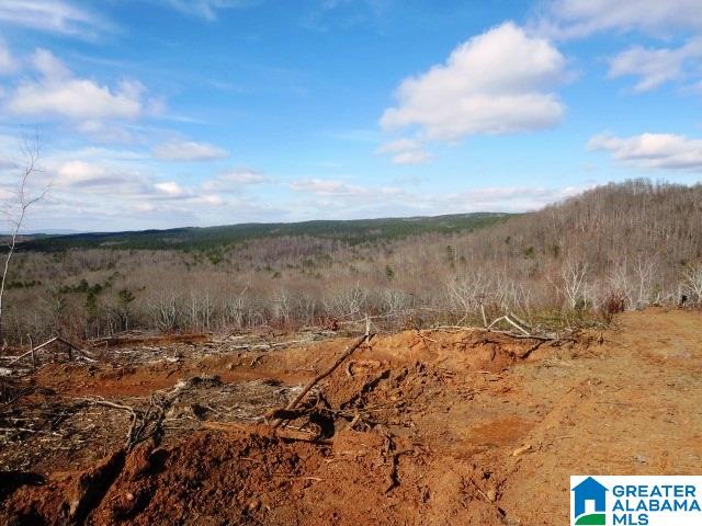 641 County Road, Unit 80 Ranburne, AL 36273 - Photo 5 of 7