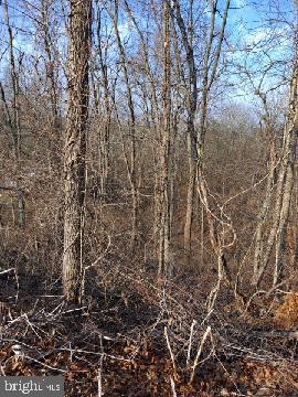 333 South Crossroads Road Lykens, PA 17048 - Photo 2 of 6 Gallery Image 2