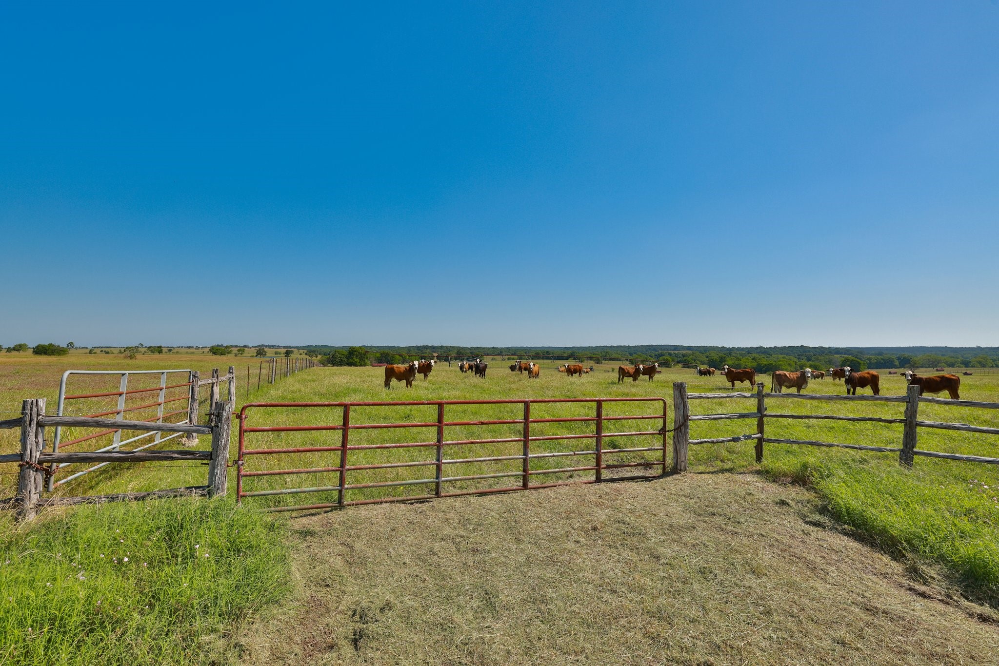 305 Rd Navasota Tx 77868 Road Navasota, TX 77868 - Photo 5 of 8