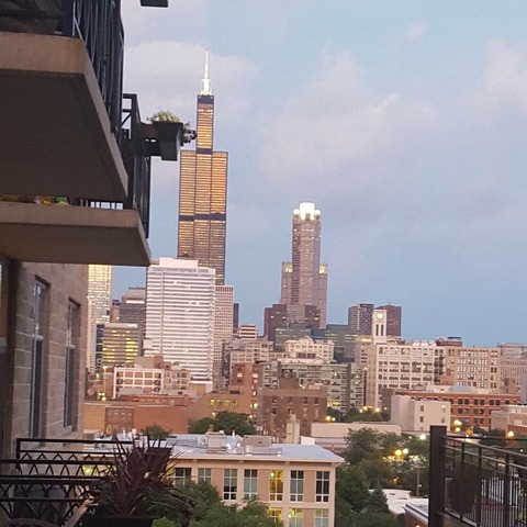 1201 West Adams Street, Unit 709 Chicago, IL 60607 - Photo 13 of 16 a city view with tall buildings