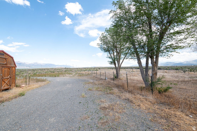 570 West Main Street Beaver, UT 84713 - Photo 33 of 43 Gravel driveway bordered by mature trees and a rustic wood-sided shed with a red roof