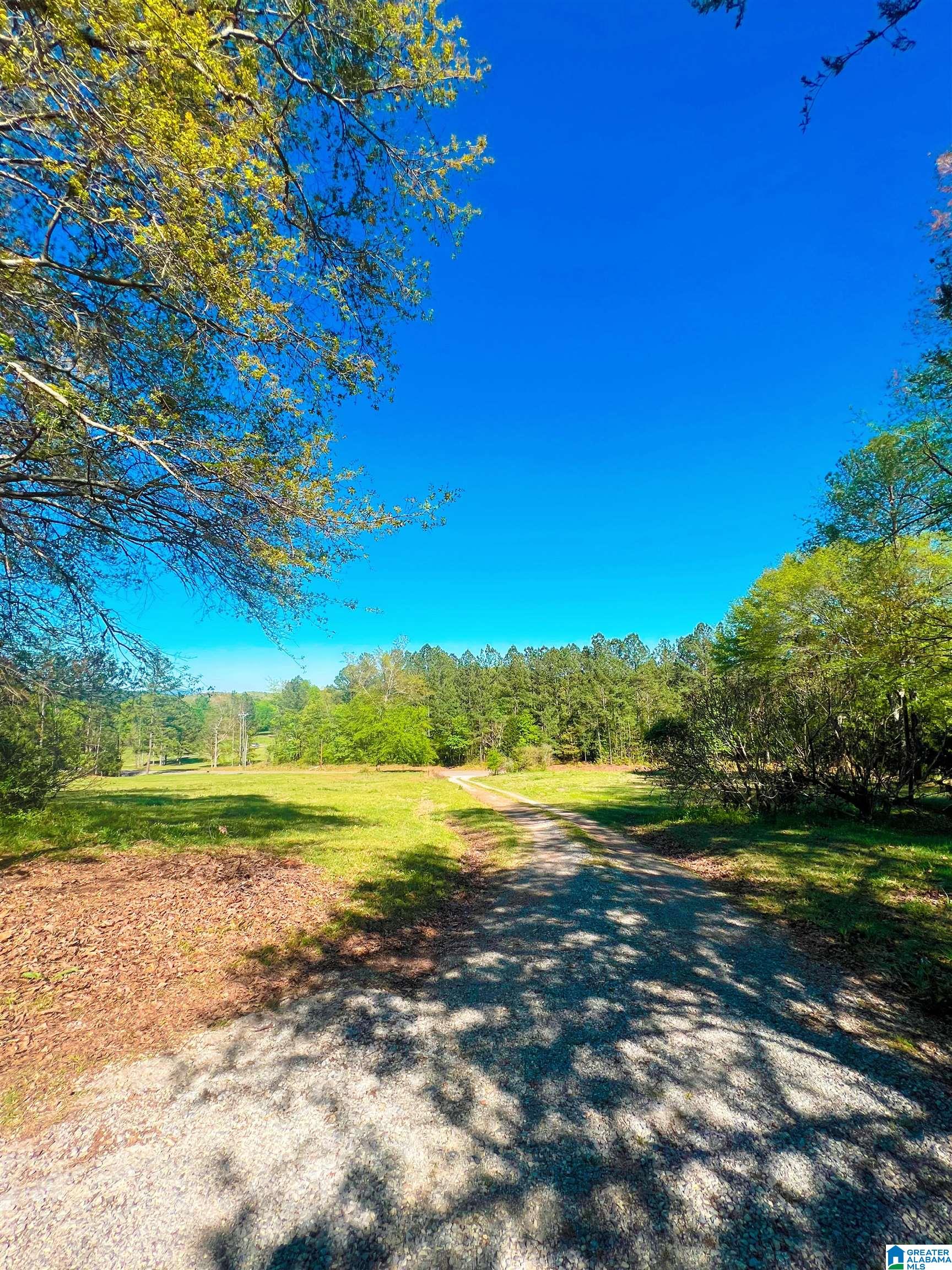 4003 Curry Station Road Munford, AL 36268 - Photo 5 of 37