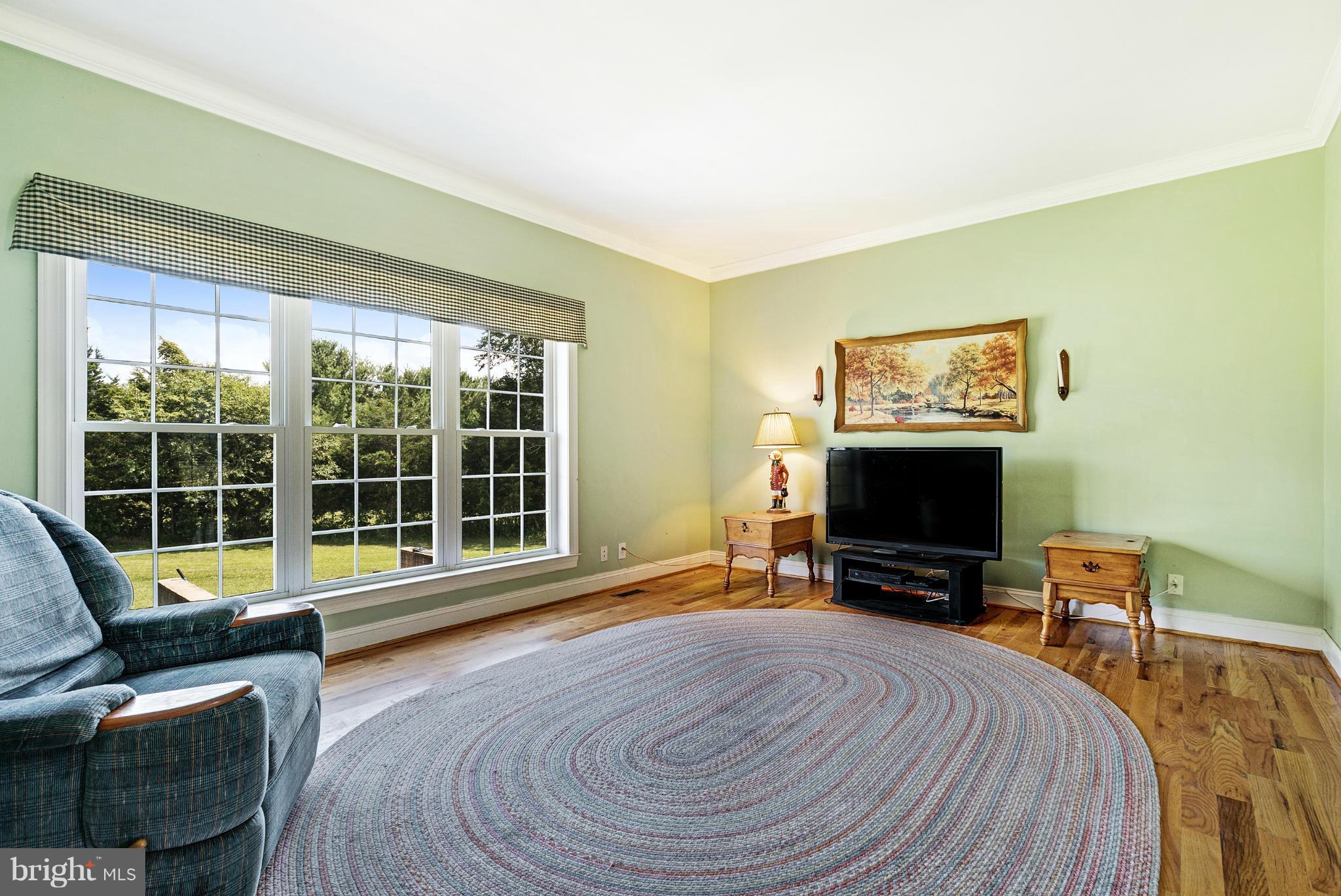142 Mountain Road Front Royal, VA 22630 - Photo 17 of 24 Living Room