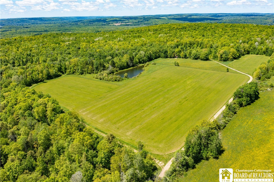 0 Scott Hill Road Kennedy, NY 14747 - Photo 2 of 16