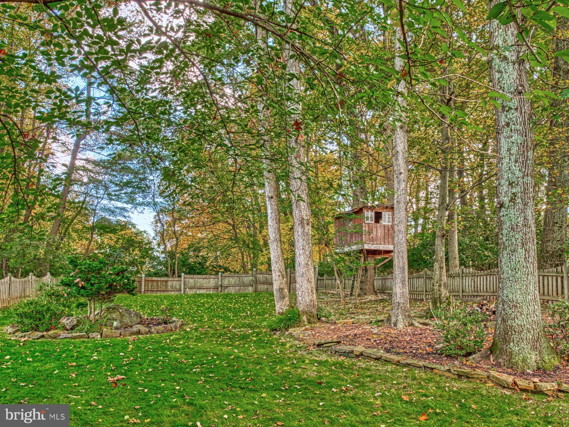 9705 Rhapsody Drive Vienna, VA 22181 - Photo 23 of 28 FULLY FENCED BACKYARD