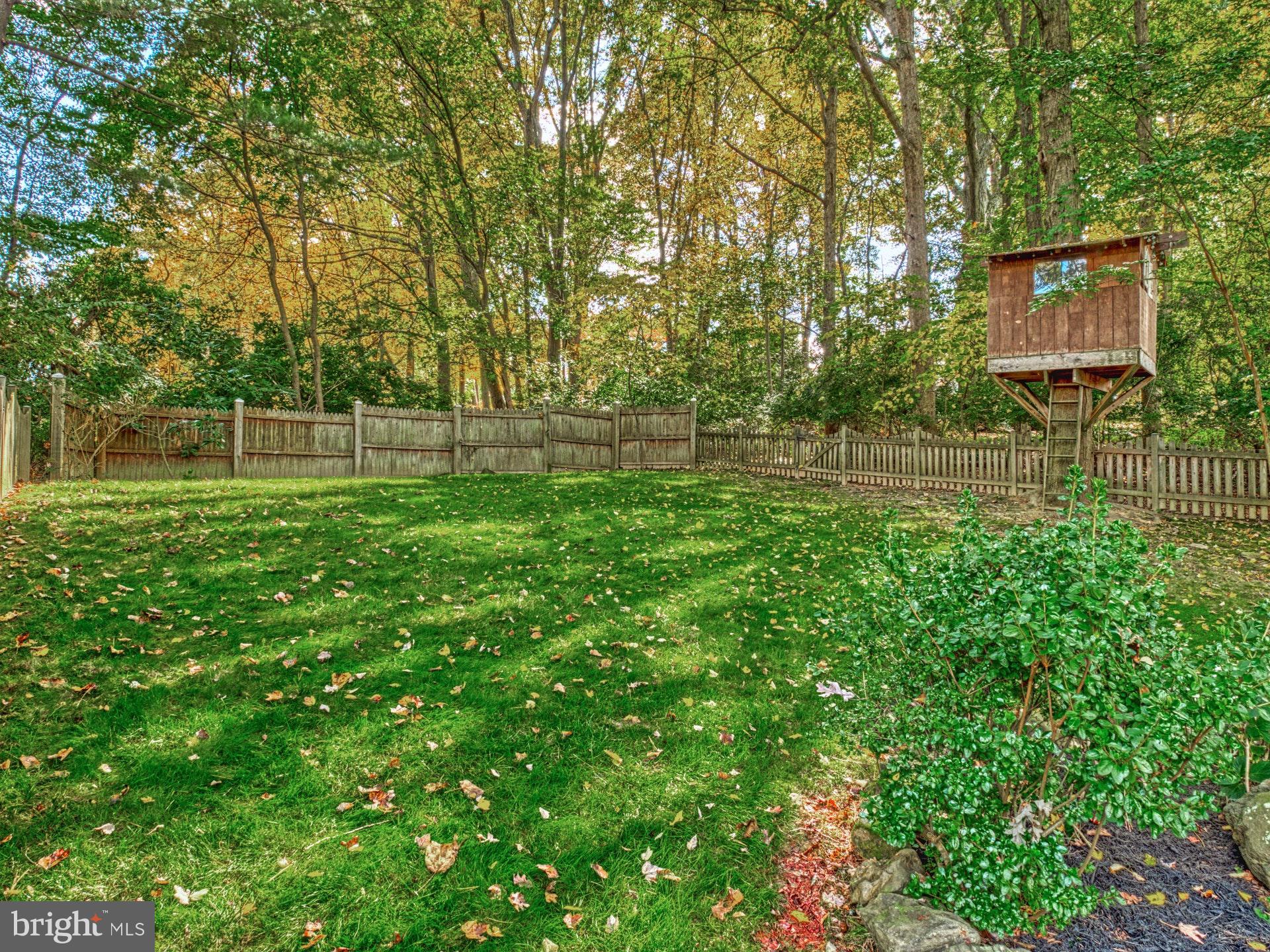 9705 Rhapsody Drive Vienna, VA 22181 - Photo 24 of 28 BOGO: BUY HOUSE GET TREEHOUSE TOO!