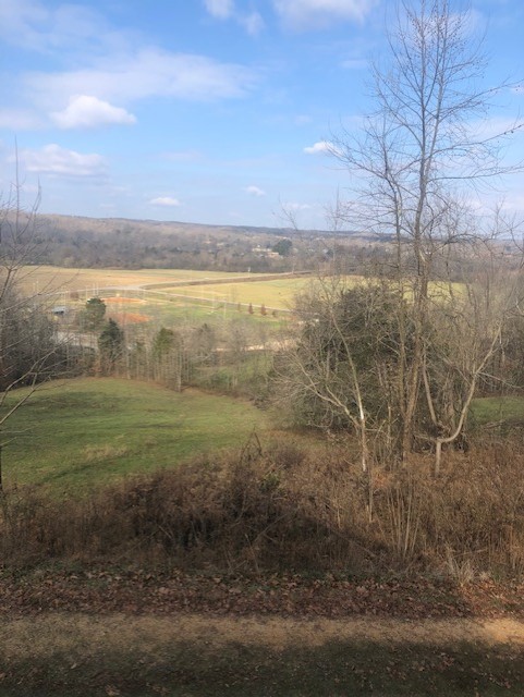 276 Williams Road Linden, TN 37096 - Photo 1 of 26 Gallery Image 1