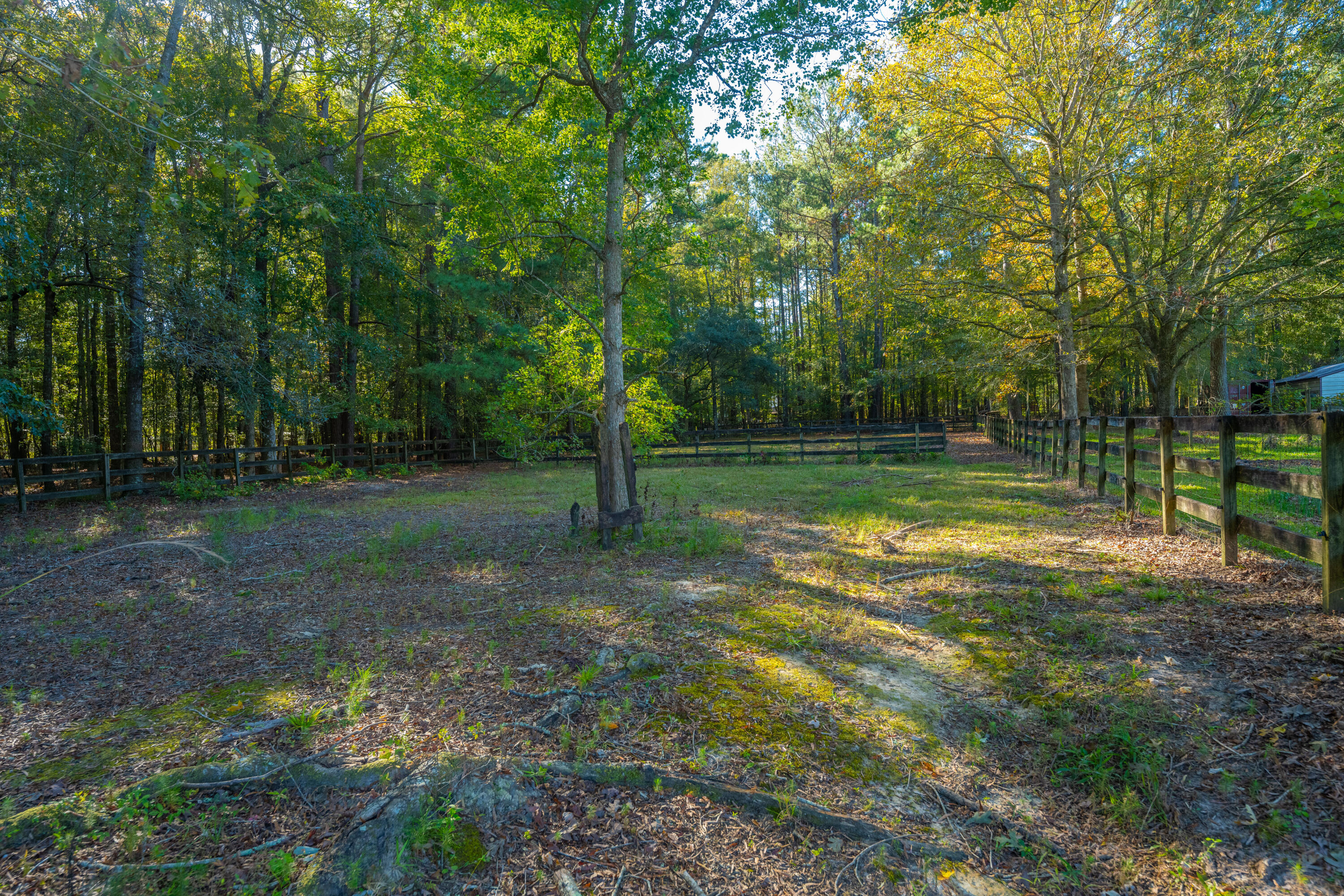 267 Sedgewick Road Summerville, SC 29483 - Photo 48 of 49 323Sedgefield057