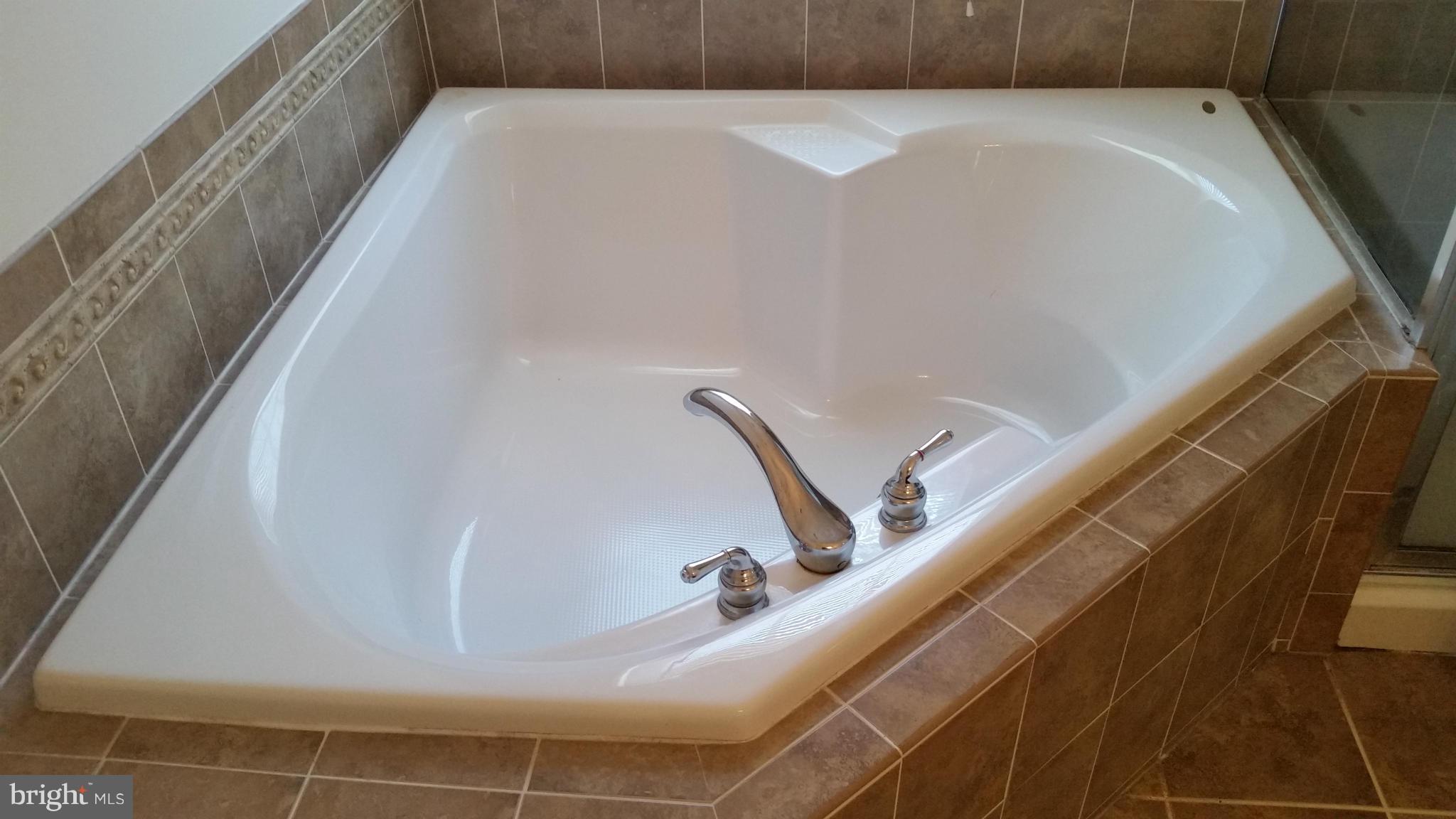 9726 Langley Road Middle River, MD 21220 - Photo 17 of 30 Bath (Master)