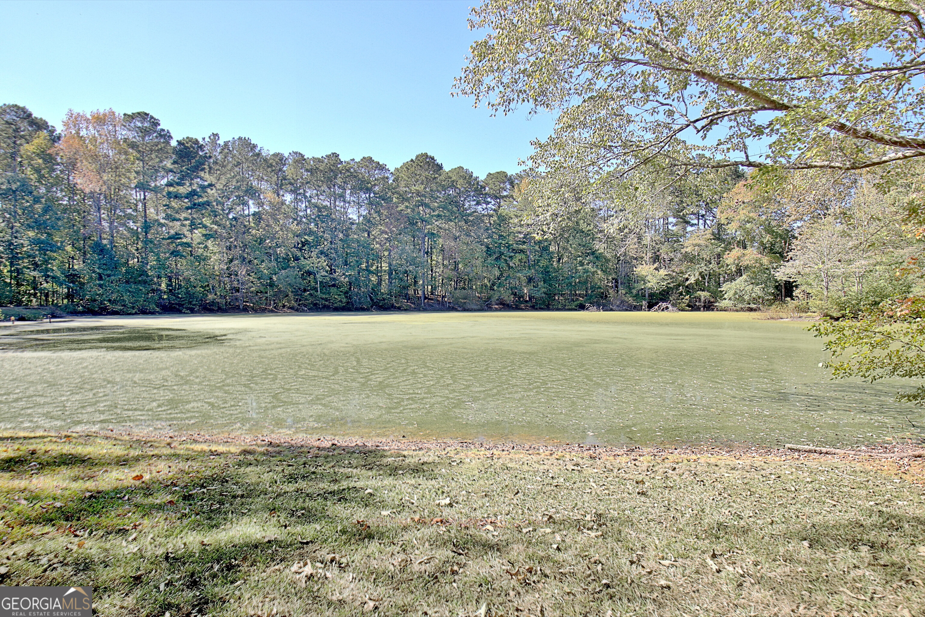 145 Holly Hill Road Fayetteville, GA 30214 - Photo 74 of 93