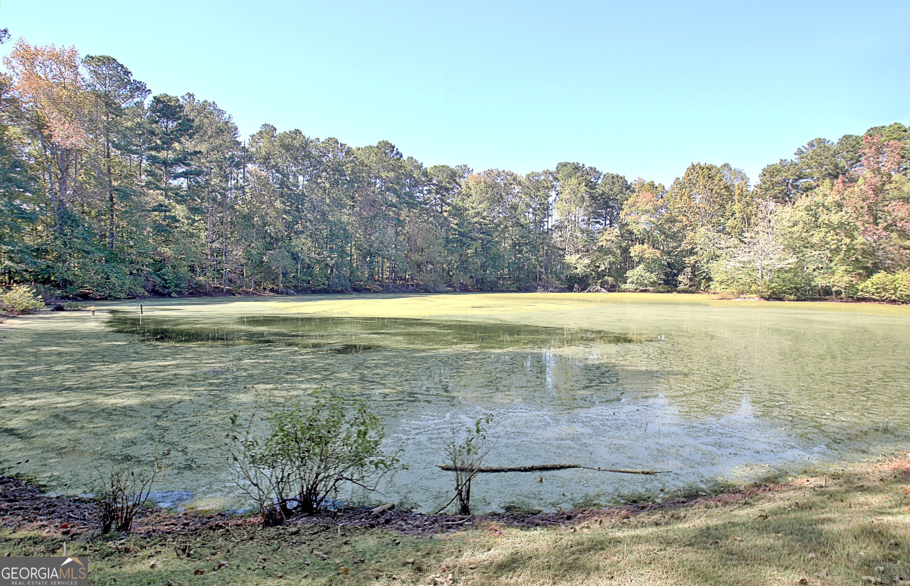 145 Holly Hill Road Fayetteville, GA 30214 - Photo 75 of 93