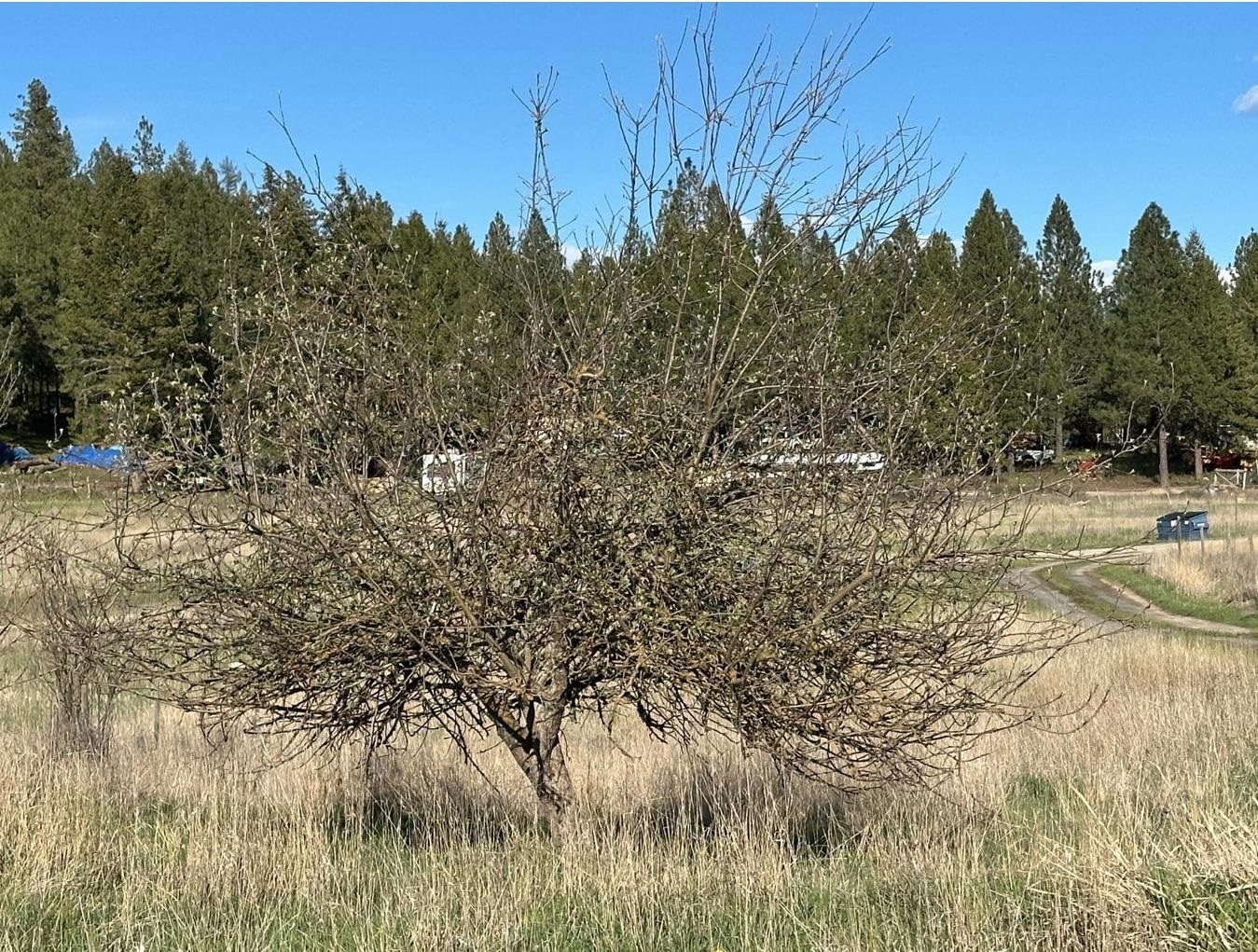 2288 B Cedonia-Addy Road Addy, WA 99101 - Photo 13 of 14