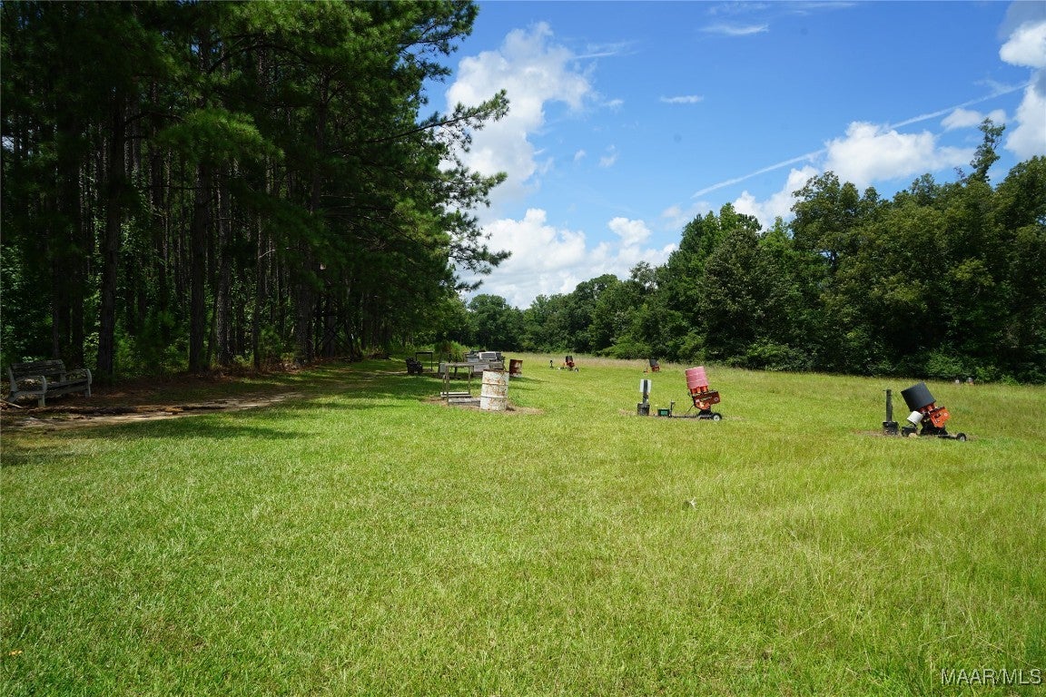 686 Pugh Road Mathews, AL 36052 - Photo 11 of 24 Gallery Image 11