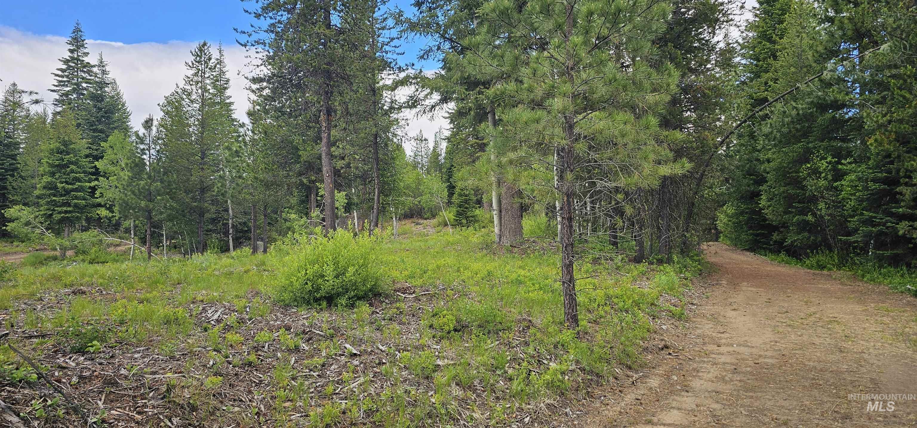 23 Sawtooth Loop Cascade, ID 83611 - Photo 42 of 45
