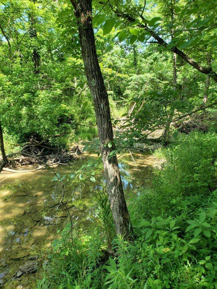 3103 Friendship Road Versailles, IN 47042 - Photo 12 of 16 Gallery Image 12
