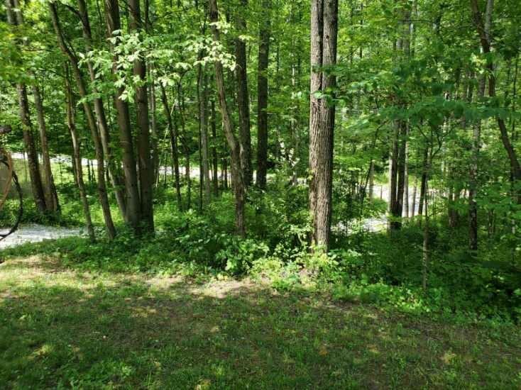 3103 Friendship Road Versailles, IN 47042 - Photo 2 of 16 Gallery Image 2