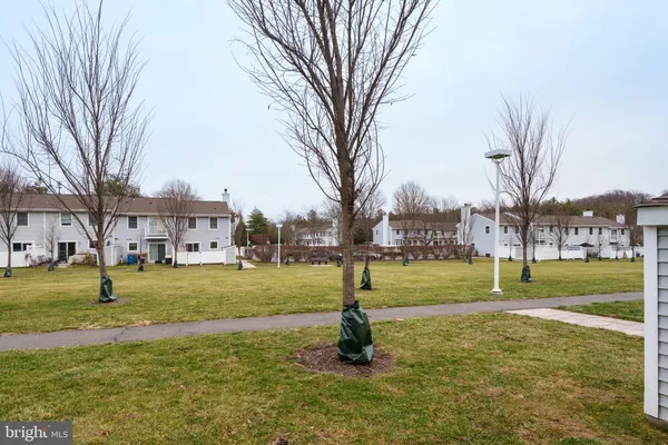 a view of a park with large trees