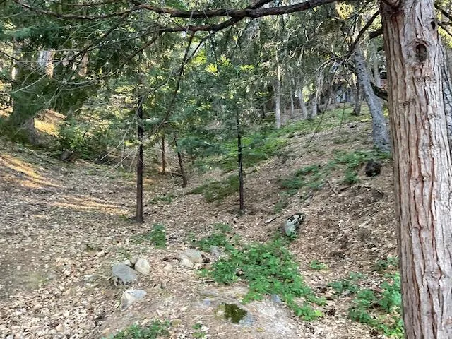 $9,999 | 356 Snowberry Court, Murphys, CA 95247