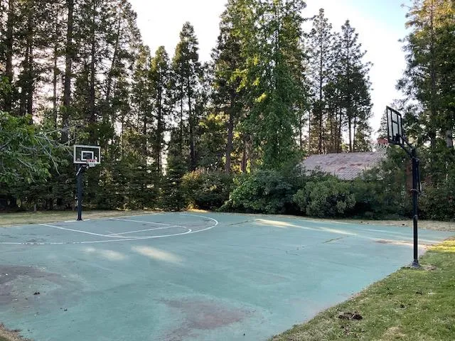 $9,999 | 356 Snowberry Court, Murphys, CA 95247