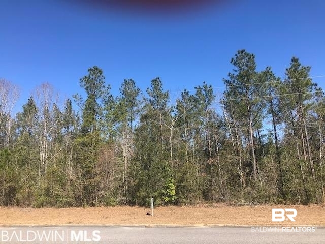 34 Cayden Circle Stapleton, AL 36578 - Photo 1 of 1