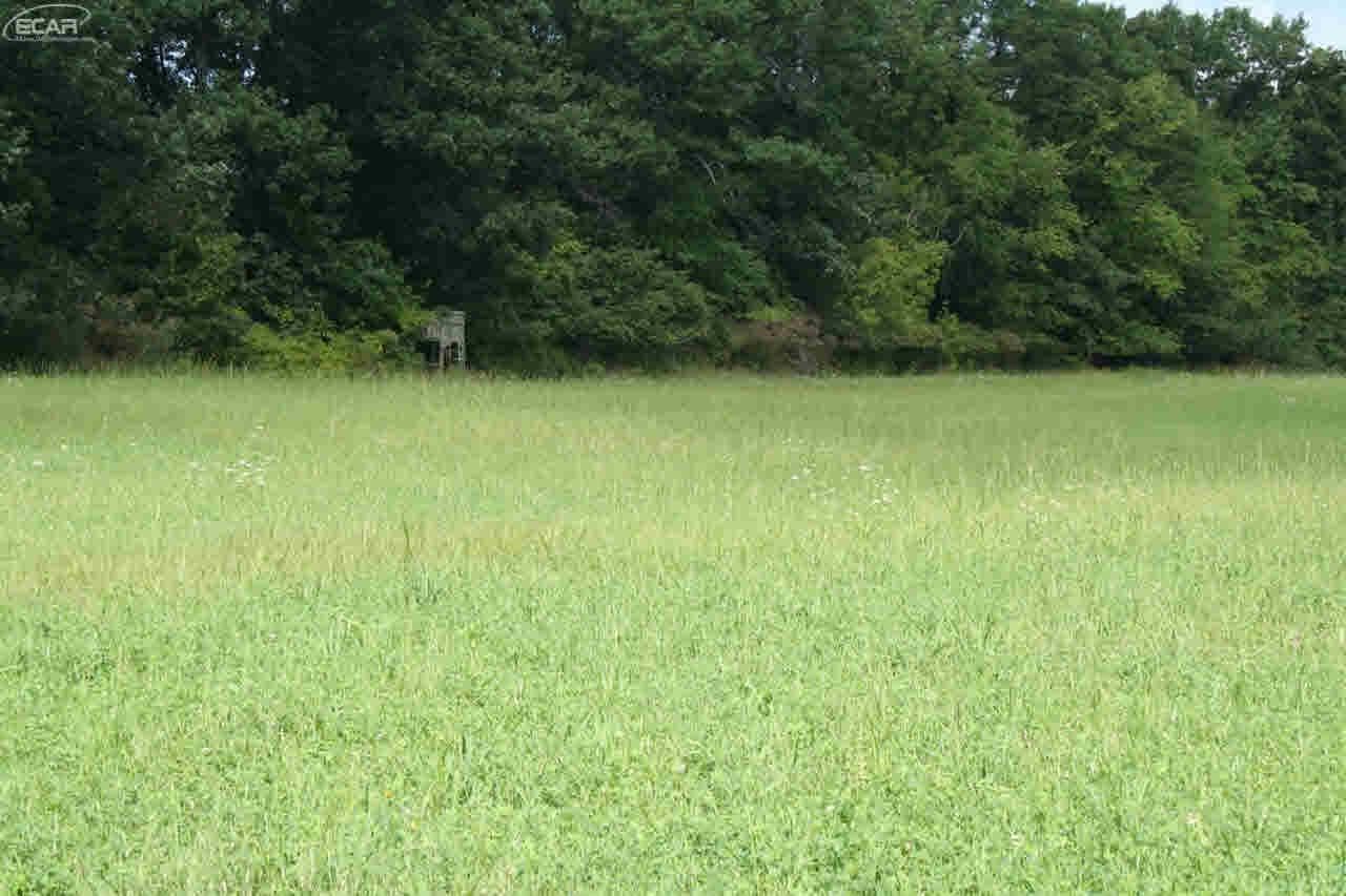0 Cohoctah Road Howell, MI 48855 - Photo 2 of 8