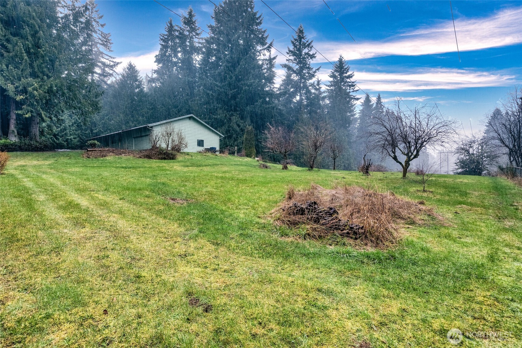 4617 200th Street Southeast Bothell, WA 98012 - Photo 35 of 39 a view of a backyard with large trees