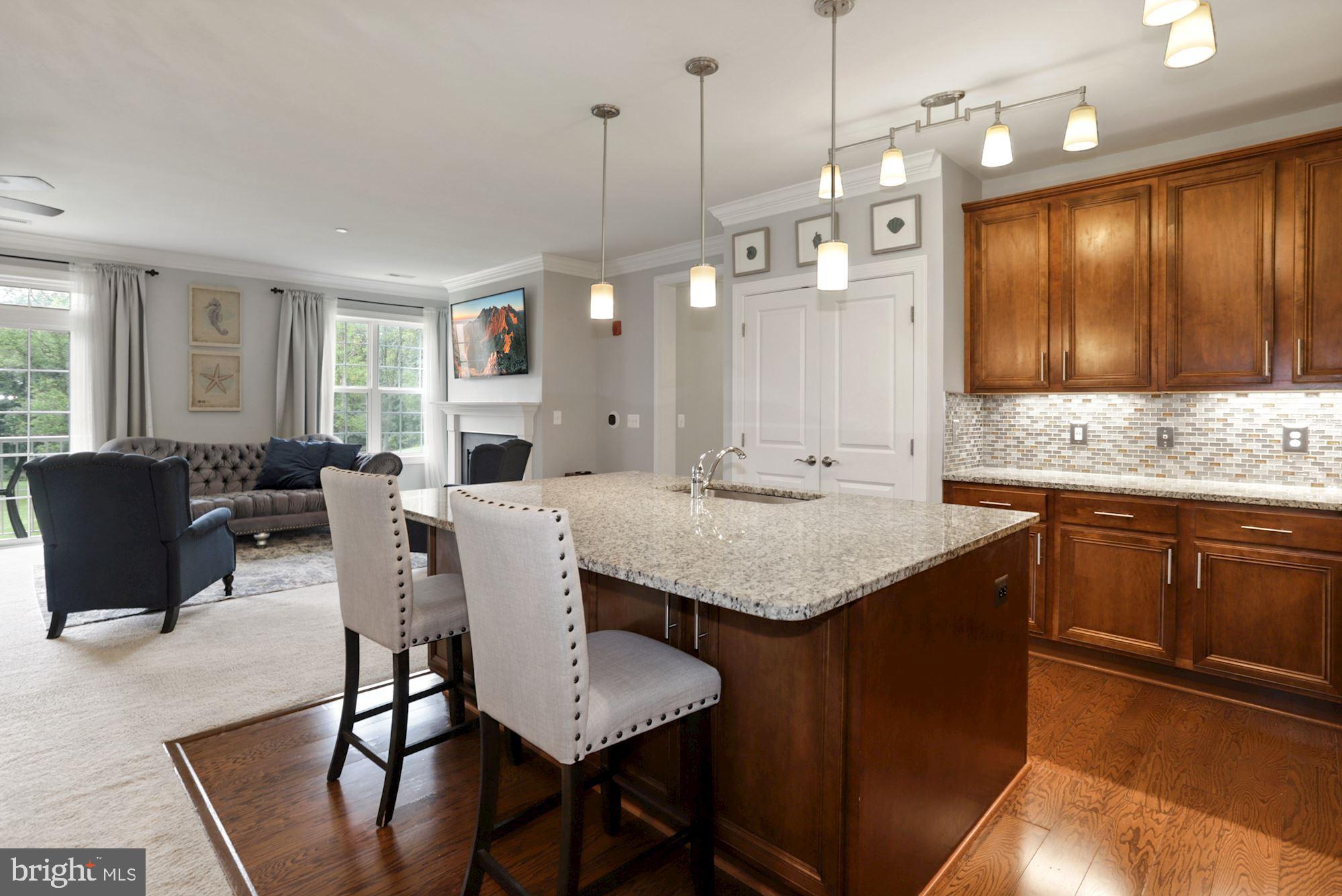 10530 Resort Road, Unit 207 Ellicott City, MD 21042 - Photo 18 of 46 Chef's Kitchen